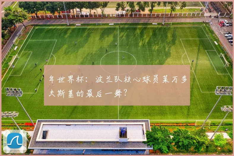 年世界杯：波兰队核心球员莱万多夫斯基的最后一舞？